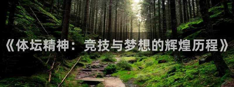 千亿国际官方正版app集团简介:《体坛精神:竞技与梦想的辉煌