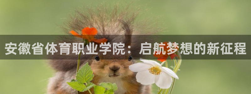 海南千亿国际官网下载:安徽省体育职业学院:启航梦想的新征程