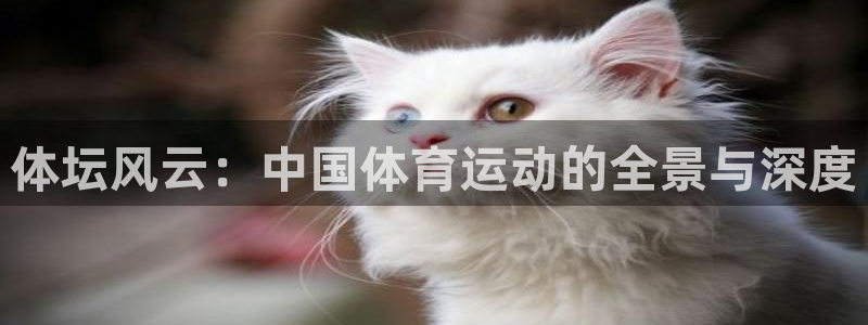 千亿国际官网下载平台注册要钱吗:体坛风云:中国体育运动的全景