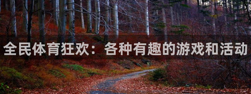 千亿国际官方正版app娱乐:全民体育狂欢:各种有趣的游戏和活
