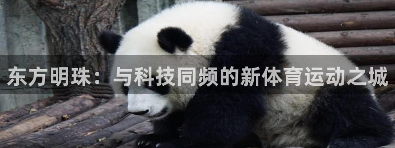千亿国际官网下载平台:东方明珠:与科技同频的新体育运动之城